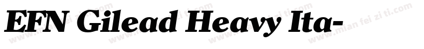 EFN Gilead Heavy Ita字体转换